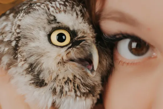 Casino Palace of Chance Support